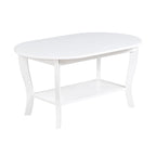 Black Oval Coffee Table with Storage Shelf
