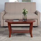 Black Oval Coffee Table with Storage Shelf