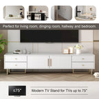 65+ Inch Modern TV Stand with Storage for Living Room